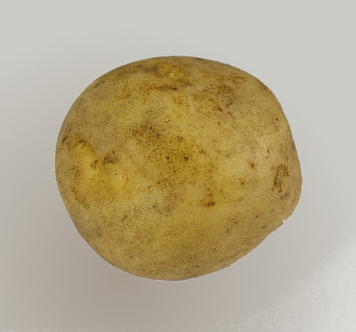 Image of a free range potato