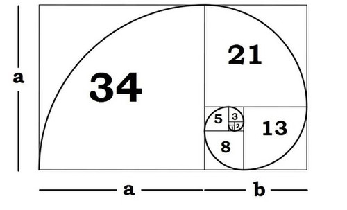 Imagen de la proporción del número áureo